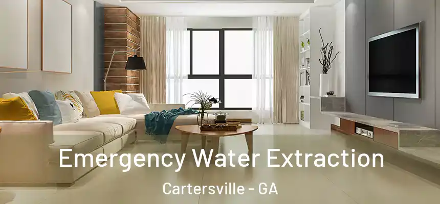  Emergency Water Extraction Cartersville - GA