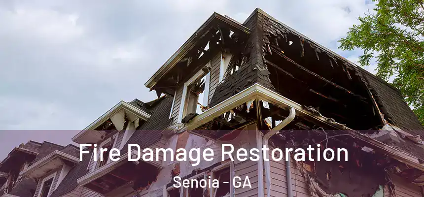  Fire Damage Restoration Senoia - GA