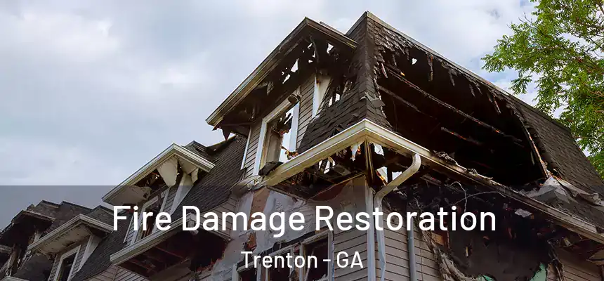  Fire Damage Restoration Trenton - GA