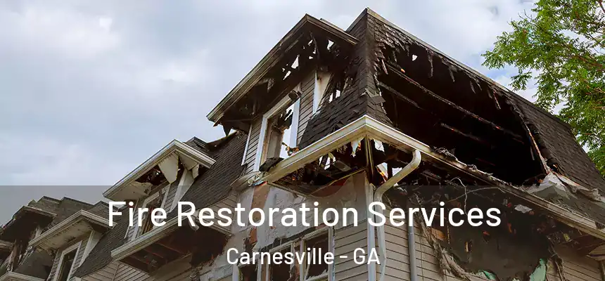  Fire Restoration Services Carnesville - GA