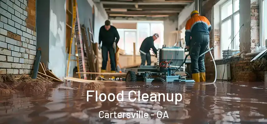 Flood Cleanup Cartersville - GA