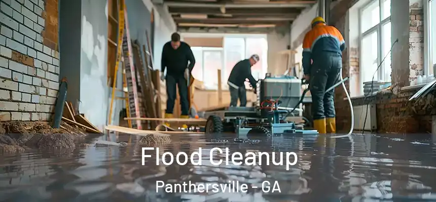 Flood Cleanup Panthersville - GA