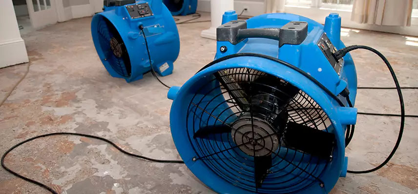 Water Leak Mitigation in Cartersville