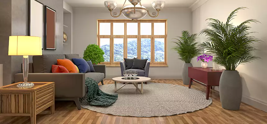 Local Water Mitigation in Cartersville