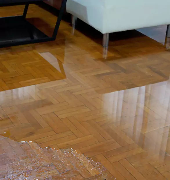 Trusted Emergency Water Restoration Company in Cartersville, GA