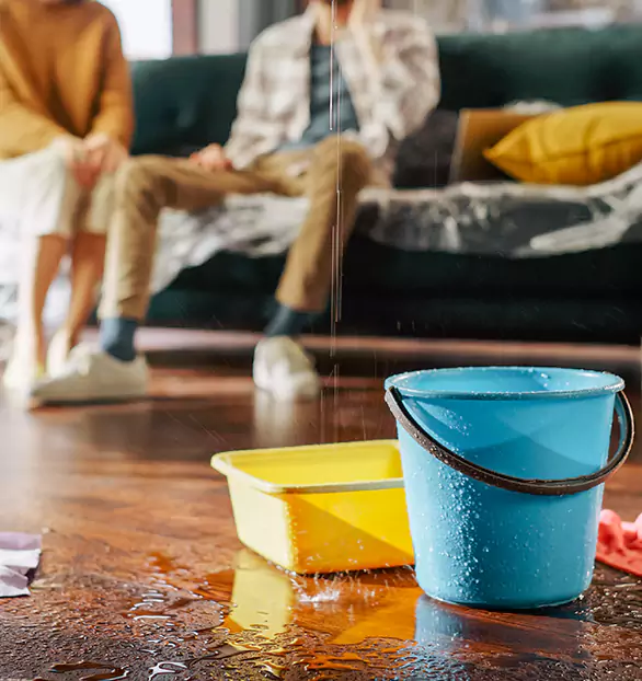 Trusted Water Remediation Company in Cartersville, GA