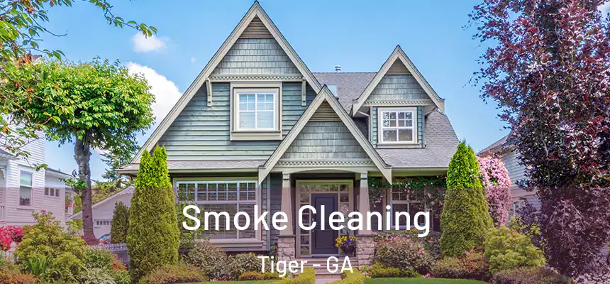 Smoke Cleaning Tiger - GA