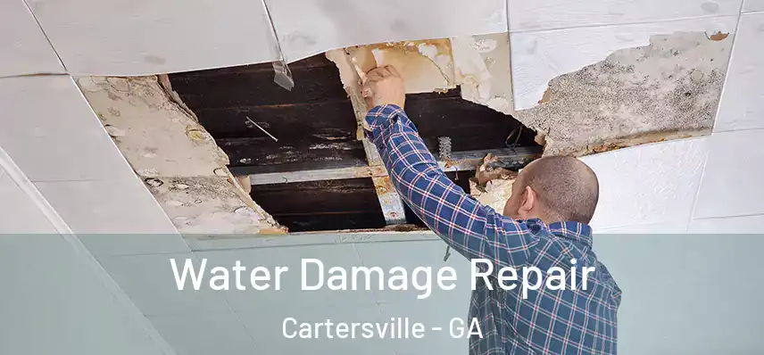  Water Damage Repair Cartersville - GA