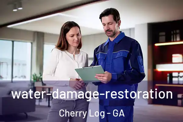 water-damage-restoration Cherry Log - GA