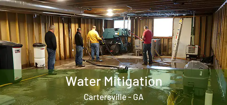  Water Mitigation Cartersville - GA