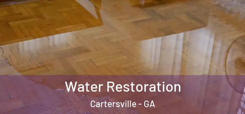  Water Restoration Cartersville - GA